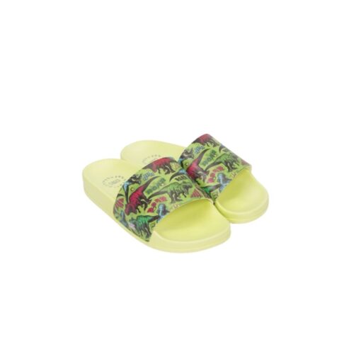 Green Roar Yellow boys slide